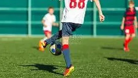 乒超男团：黄石华新基地全胜独占鳌头